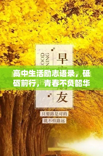 高中生活励志语录，砥砺前行，青春不负韶华！