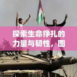 探索生命挣扎的力量与韧性，图片揭示生命的力量图谱