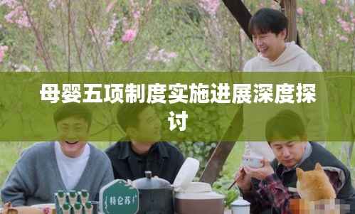 母婴五项制度实施进展深度探讨