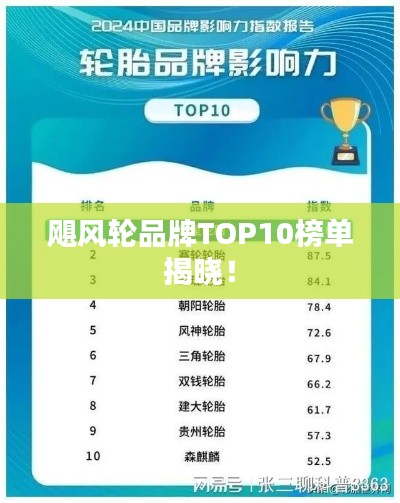 飓风轮品牌TOP10榜单揭晓！
