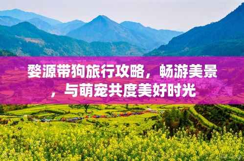 婺源带狗旅行攻略,畅游美景,与萌宠共度美好时光