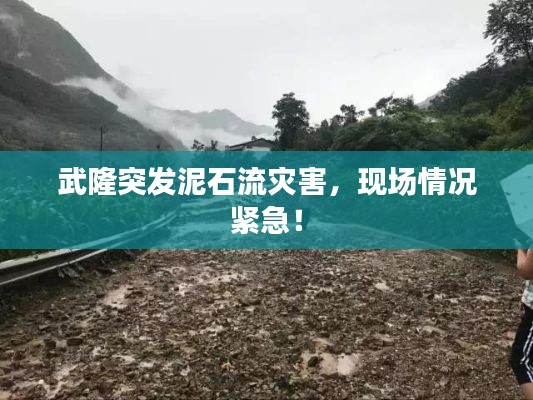 武隆突发泥石流灾害，现场情况紧急！