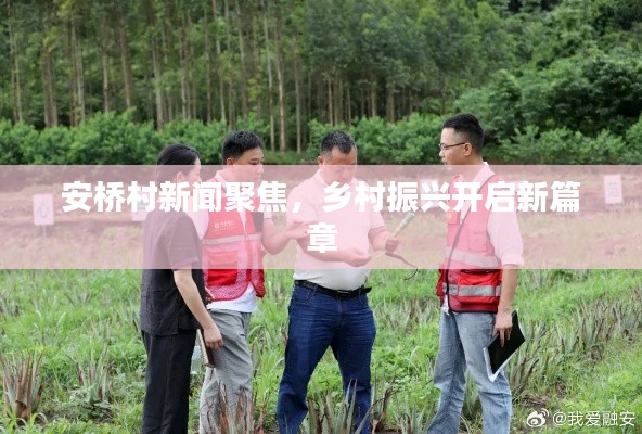 安桥村新闻聚焦，乡村振兴开启新篇章